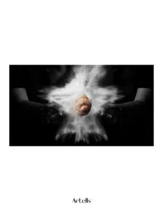 Magazine Publication, RC Studio